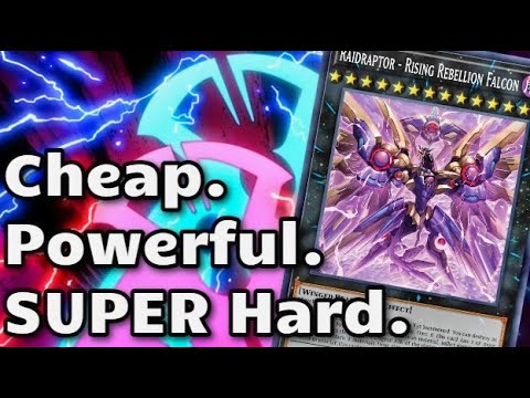 RAIDRAPTOR - Ten Minute Testing