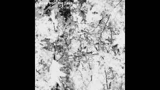 Music video thumbnail preview for Voices From The Lake - Twins In Virgo + Reprise by Voices From the Lake