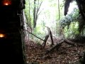 Coughing Colours IN The Woods
