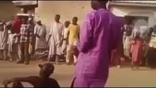 Download lagu Karambanin Wasa da Saniya mp3