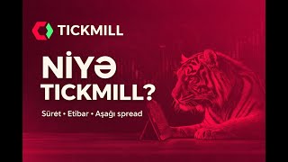 Broker istifadəsi haqqında | Nəyə görə TICKMILL brokeri?