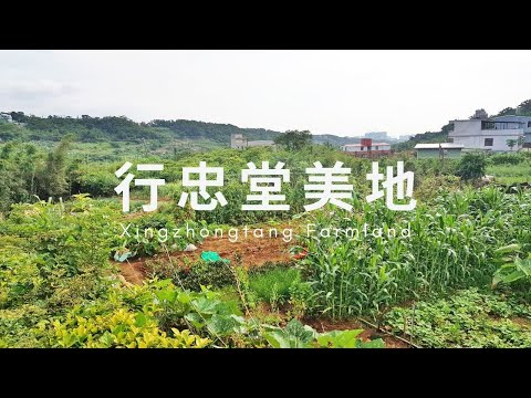 淡水區-忠山段農地出售 第1張共6張