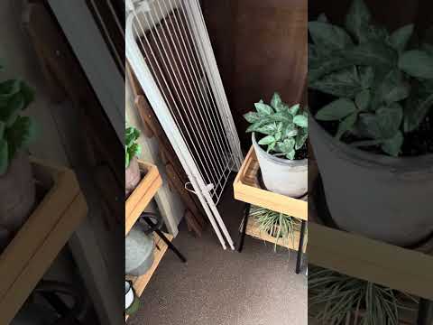 ベランダの植物が倒れるのを防ぐにはどうすればいいですか？効果的な防風アイデア6選！  庭園