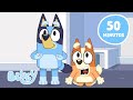 AO VIVO Dias Com Bluey E A Família Diversão Com Bluey E Bingo