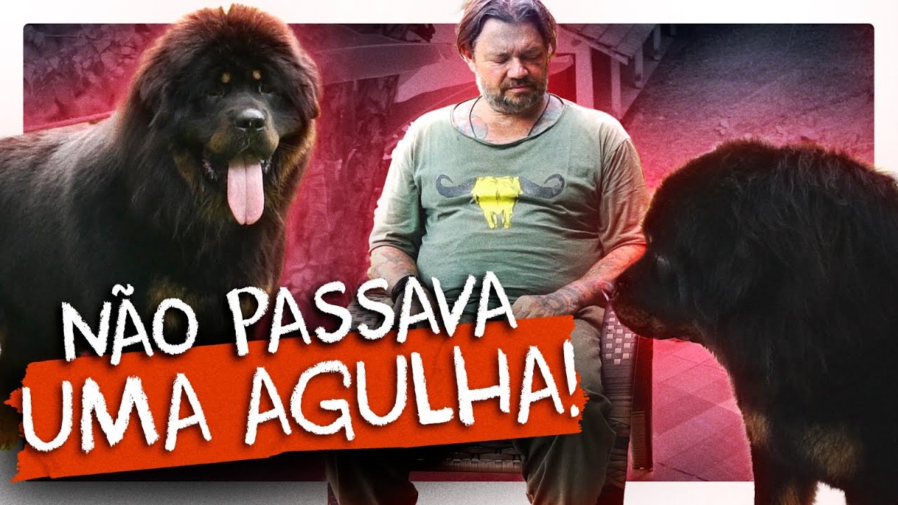 MASTIM TIBETANO, O MAIS TEMIDO DO MUNDO! | RICHARD RASMUSSEN