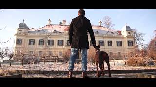 Matija Boršćak  - Nesrećo moja (official music video 2017)