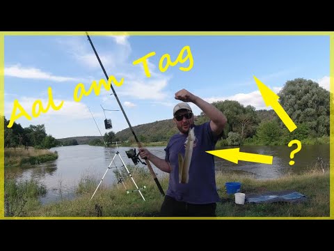 Das ist Angeln zu Gast am Fluss auf Aal Wels und andere Fischarten