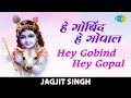Hey Gobind Hey Gopal | हे गोबिंद हे गोपाल | Jagjit Singh | कृष्ण भजन