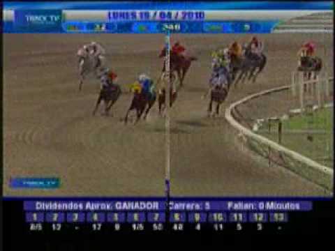 Resumen lunes 19 de abril 2010 - La Rinconada