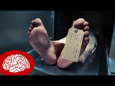 8 DINGE, DIE NACH DEINEM TOD PASSIEREN