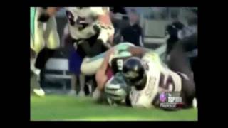 Baltimore Ravens theme Song. Im A Baltimore Raven.Baltimore Bishop. Blynesyde Records.