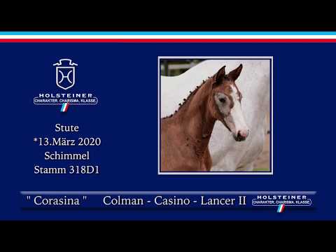 Holsteiner Online-Fohlenauktion 2020 - Corasina