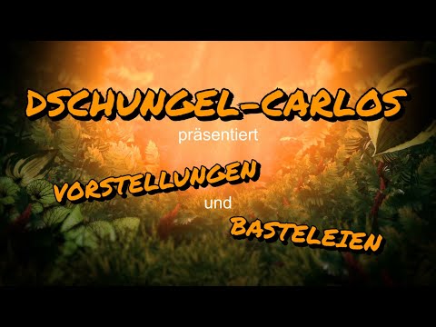 Vorstellung -  Gaskocher AB 3 - Deluxe