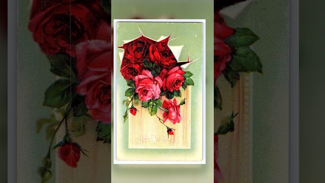 Printed in Germany, Divided Back, Roses Best Wishes, 1913 Postmark Video