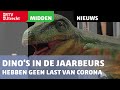 Dino's in de Jaarbeurs hebben geen last van corona [RTV Utrecht]