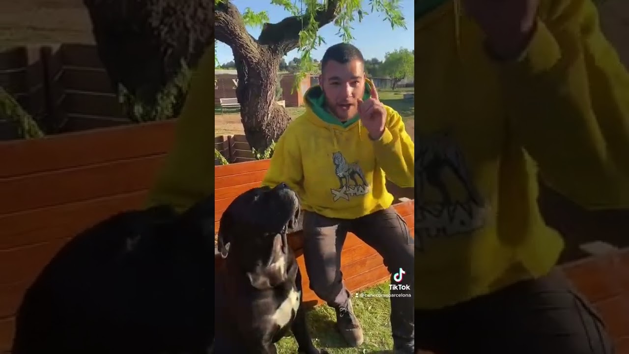 ACEITE DE SALMON PARA PERROS