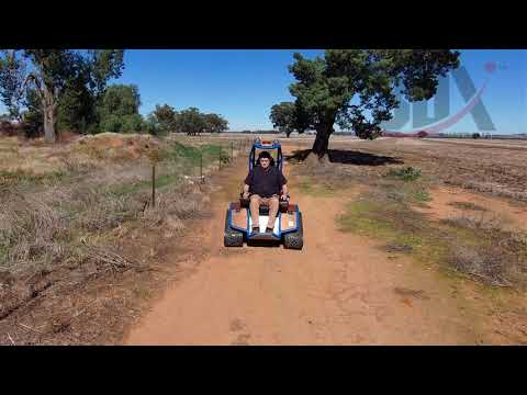 Derek Lewington's Ziesel