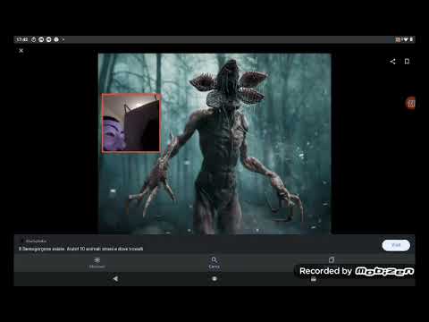 vittoria reale! a caso