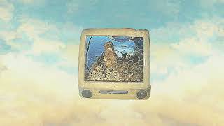 Cover art for Cemetery Pigeons