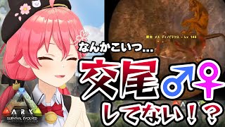 【2022/1/17】恐竜の交尾を目撃してしまったみこち【#ホロライブ切り抜き/さくらみこ/ARK】