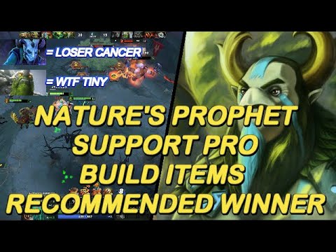 Dota 2 - New 7.24 Nature's Prophet Support Pro Recommended Winner