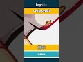 volleyball - 排球 video thumbnail