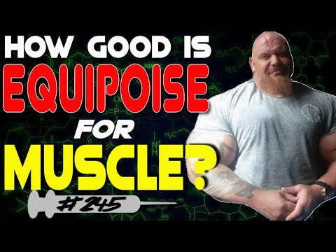 How Good Is Equipoise For Building Muscle Ft Zack Khan