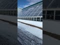 12C Out 32C In Coldclimate Deepwinter Passivesolar Greenhouse Homestead Prepper
