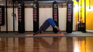 Crow, eka pada, hurdler&#39;s pose, around the world flow