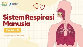 Download lagu Respiratory System | 8th Grade Science Independent Curriculum mp3 Download lagu Respiratory System | 8th Grade Science Independent Curriculum mp3