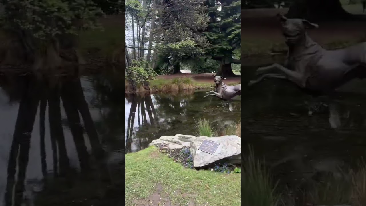 YouTube Short thumbnail