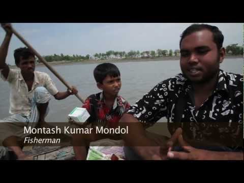 download lagu mp3 mp4 Farm Raised Shrimp From India, download lagu Farm Raised Shrimp From India gratis, unduh video klip Farm Raised Shrimp From India