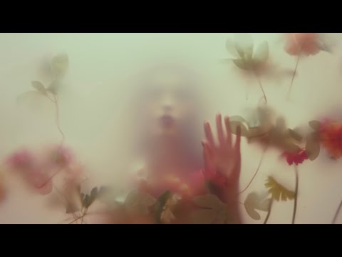 Te Volví a Soñar- Daphne Michelle