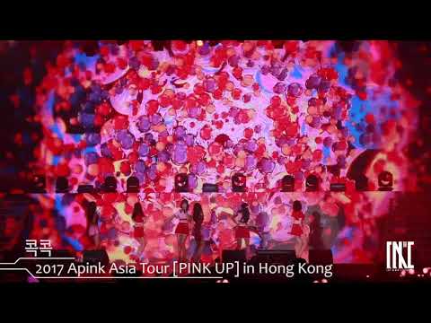 170923 2017 Apink Asia Tour [PINK UP] in Hong Kong - 콕콕