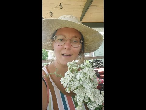 Late June Prairie Forage