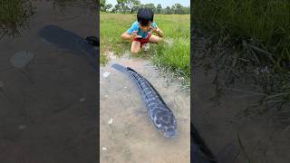 Download lagu Survival Skills: SIMPLE and USEFUL with big fish #bushcraft #camping #outdoors mp3