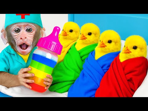 Macaco JOJI cuida de patinhos fofos e faz sorvete de frutas en casa | JOJI Em Português