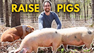 Pigs are the New Chickens. Why YOU Should Raise Pigs.