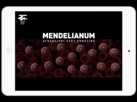 Náhled pro video reference
