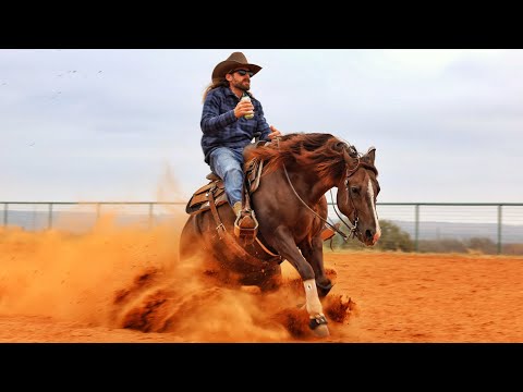 Dale Tries To Ride A $1,000,000 Horse!