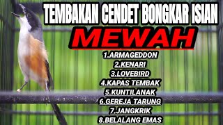 Download lagu BURUNG CENDET GACOR AMPUH BUAT PANCINGAN CENDET LAIN AGAR BUNYI LANGSUNG NYAUT mp3 Download lagu BURUNG CENDET GACOR AMPUH BUAT PANCINGAN CENDET LAIN AGAR BUNYI LANGSUNG NYAUT mp3