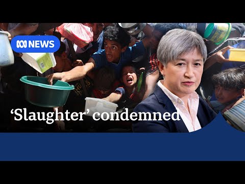 Australia condemns Israel as calls for sanctions grow louder | ABC NEWS