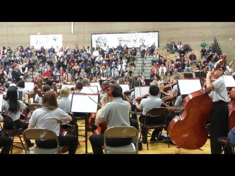 Enzo's First Orchestra Concert