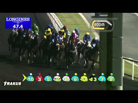 20.02.2014 Meydan (Dubai-UAE) 2.Race Meydan Sobha - Handicap 1.600 m