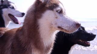 Mishka Music Video - "Block after Block" by Matt & Kim