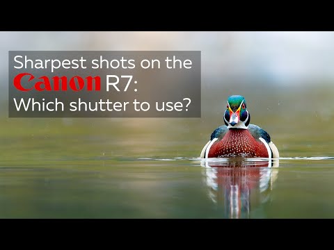 Compromising to get sharpest images possible from the Canon R7