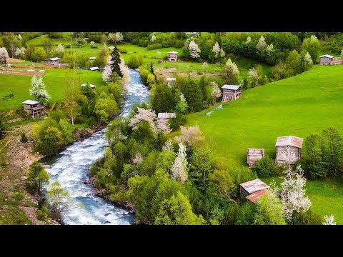 NİMETİ BİLMEK ve ŞÜKRETMEK