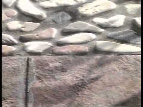 Видеообзор