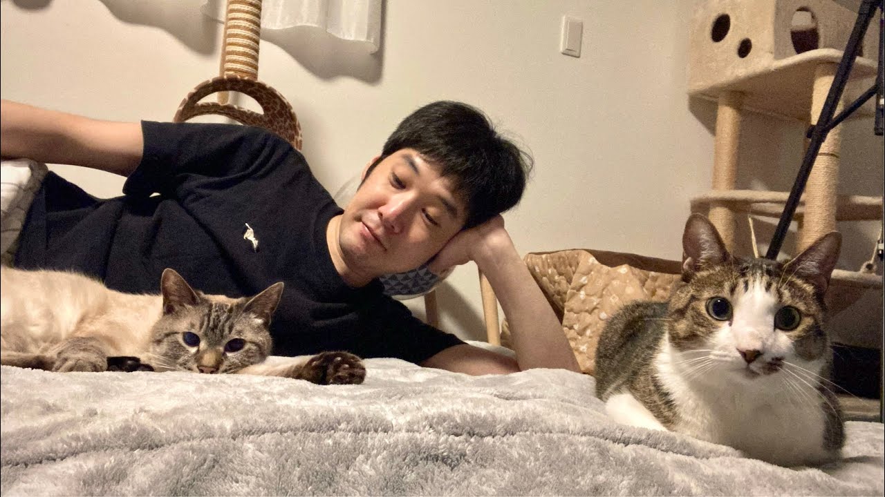 ニャン友レコード最終回