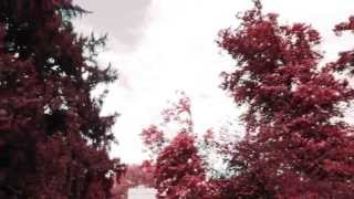 Rojo - #52fotos52tuits